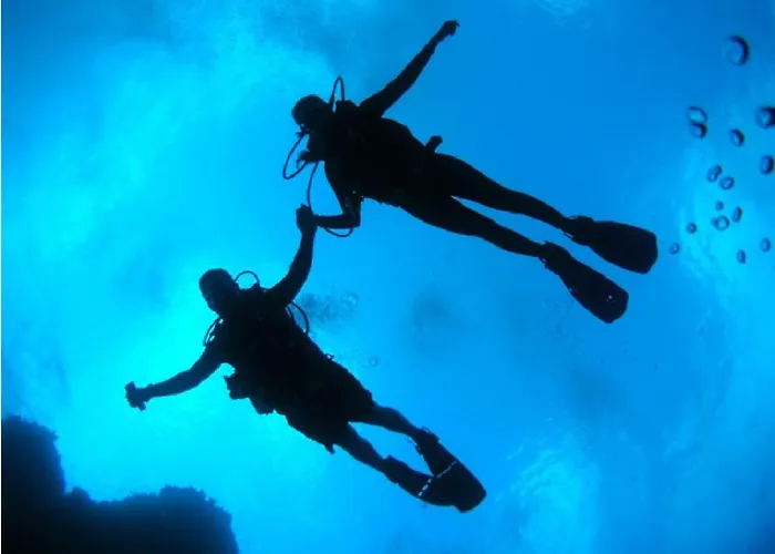 Panorama 180º * 알테아